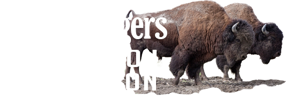 Randy Rogers Wood Bison Foundation